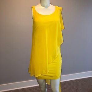 Bebe Chiffon Overlay Dress